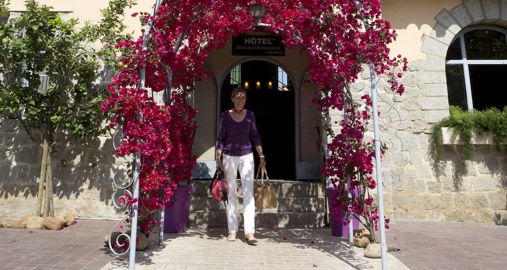 Le Mas Des Citronniers Collioure Bagian luar foto