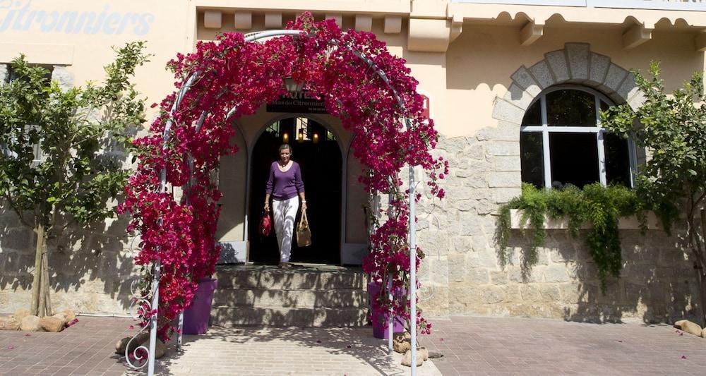 Le Mas Des Citronniers Collioure Bagian luar foto
